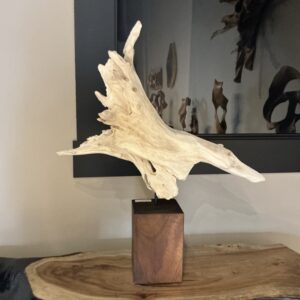 Driftwood Sculpture on teak base 001- Lot#117