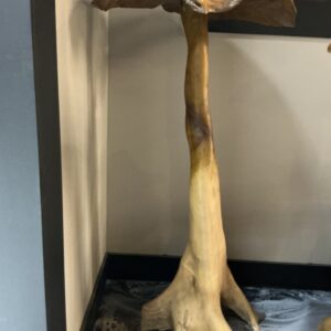 Large wooden mushroom