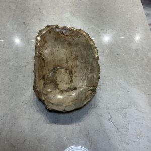 Petrified wood tray
