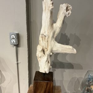 Driftwood art with teak base 003