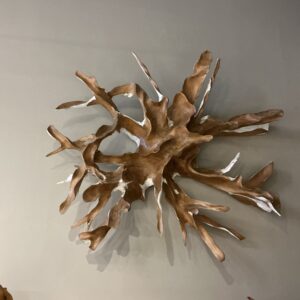 Teakwood roots wall art