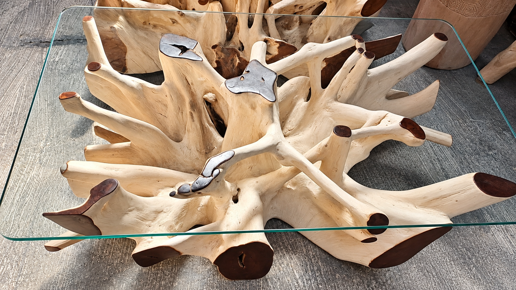 Teak Root Glass Coffee Table