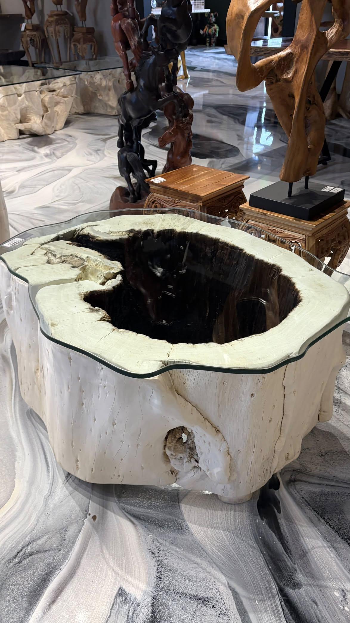 Bleached Suar Wood Coffee Table - Image 7
