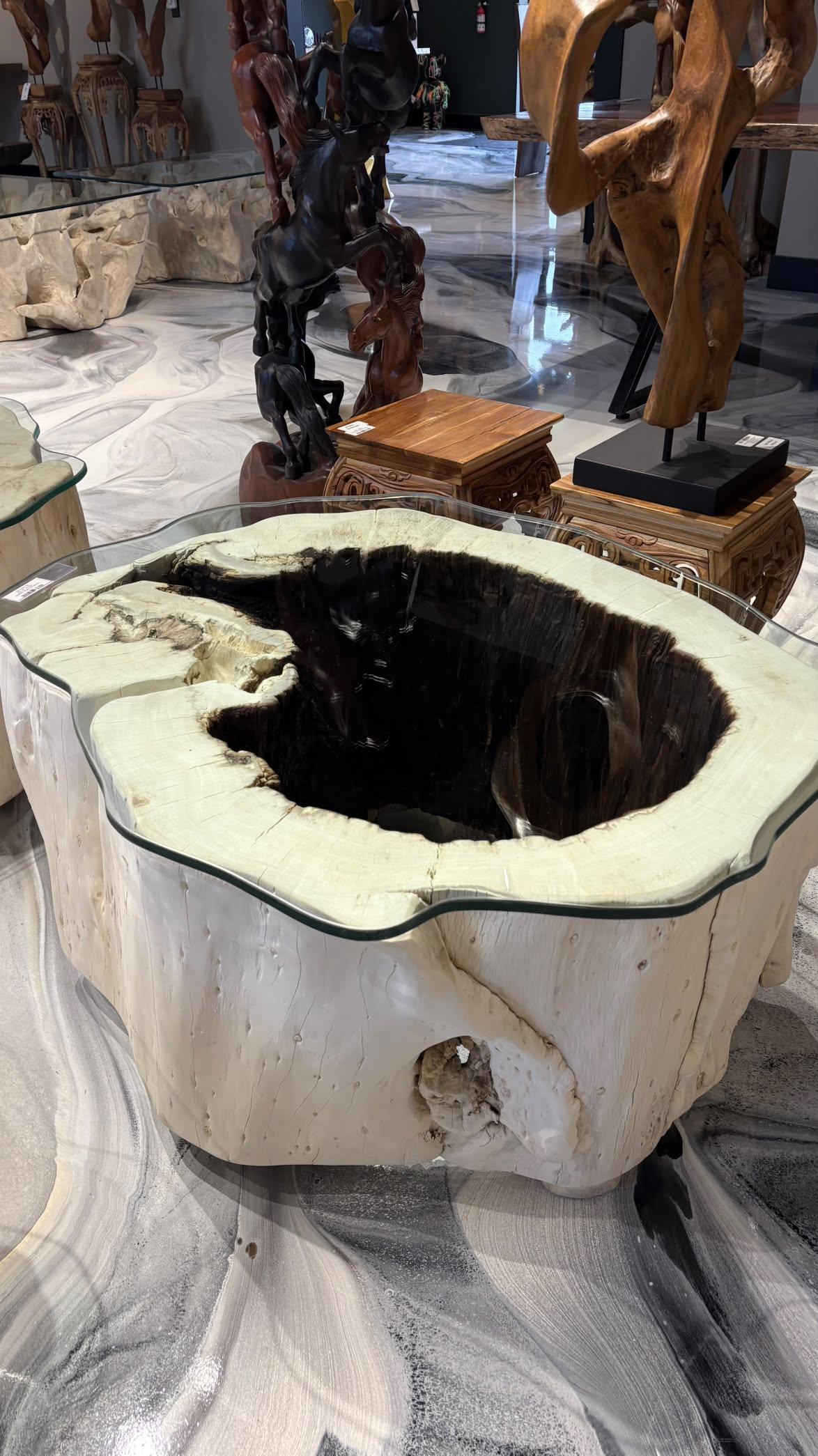 Bleached Suar Wood Coffee Table - Image 3