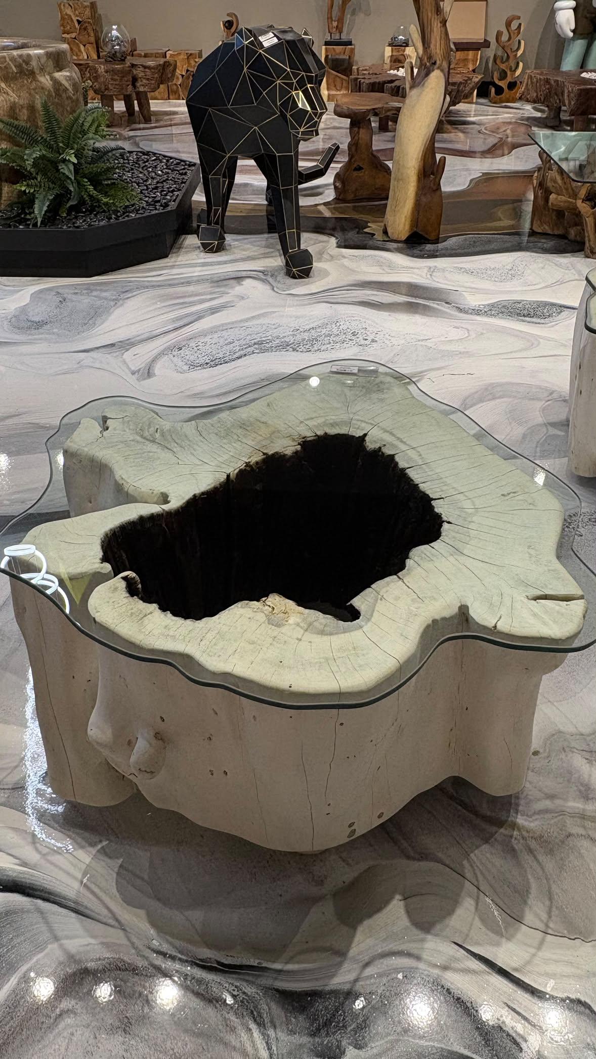 Bleached Suar Wood Coffee Table - Image 4