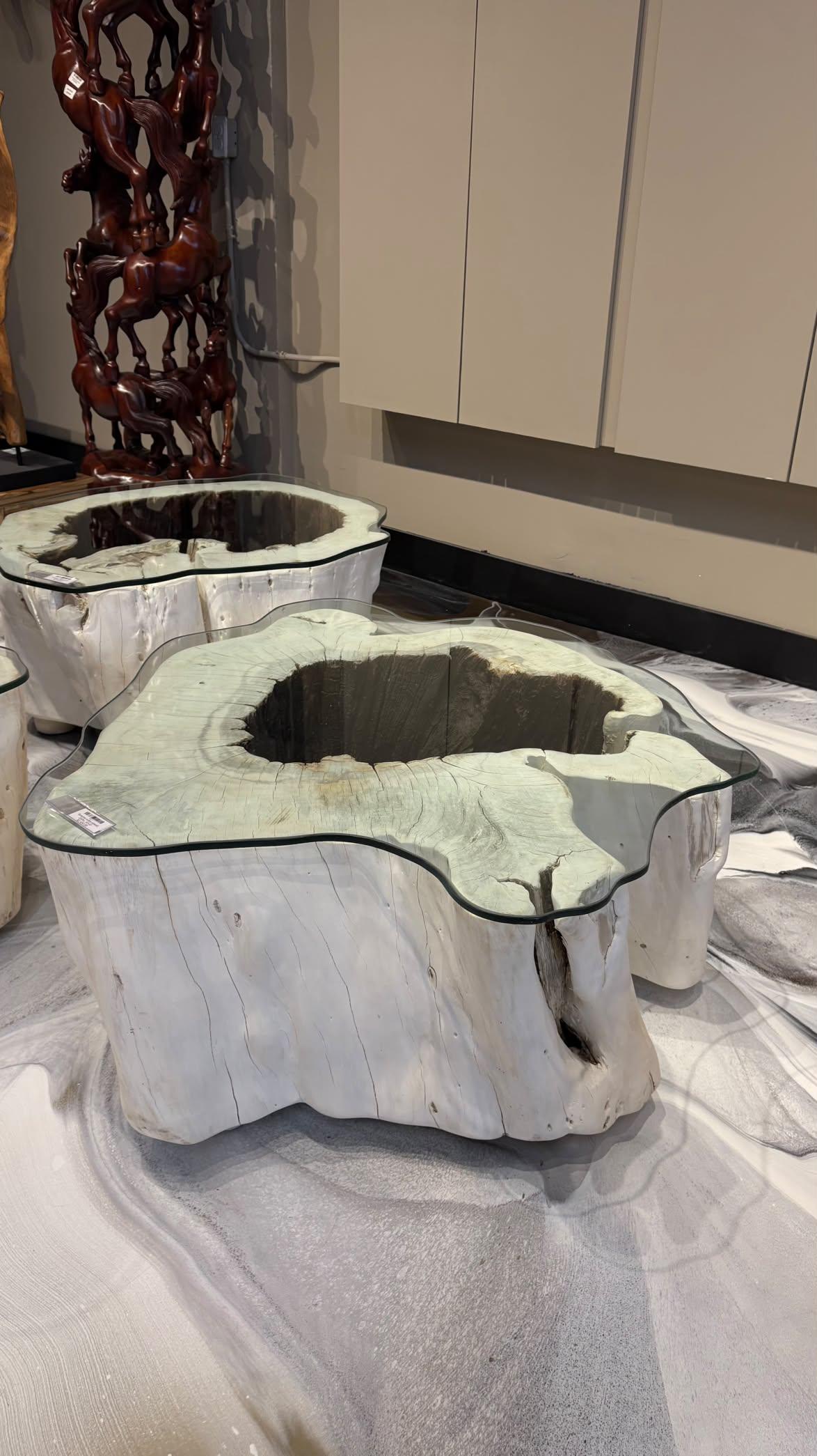 Bleached Suar Wood Coffee Table - Image 6
